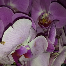 Схема вышивки «орхидея»