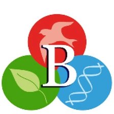 Схема вышивки «facultad»