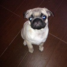 Схема вышивки «Таша»