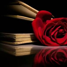 Схема вышивки «№1487442»