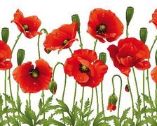 Схема вышивки «МАКИ 2»