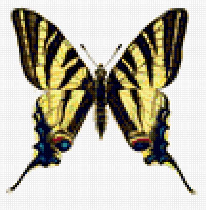 БАБОЧКА 7 - предпросмотр