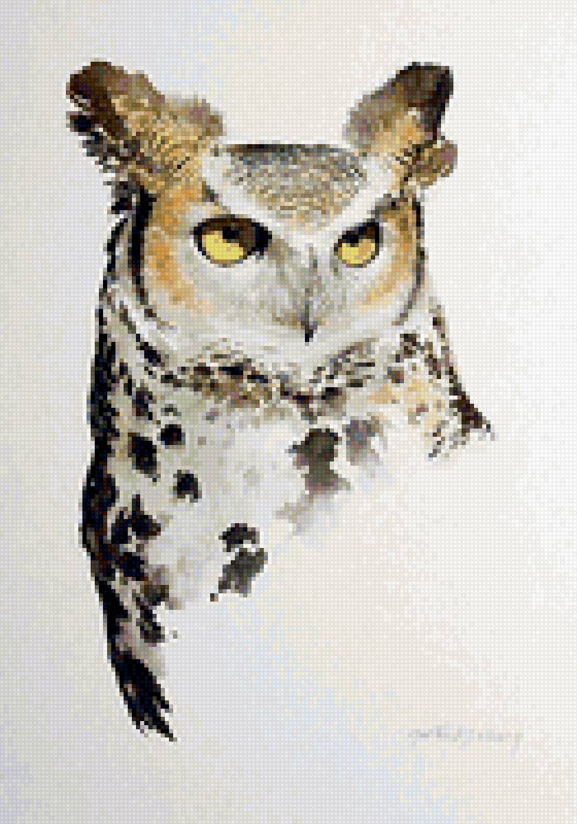 филин - птицы, природа - предпросмотр