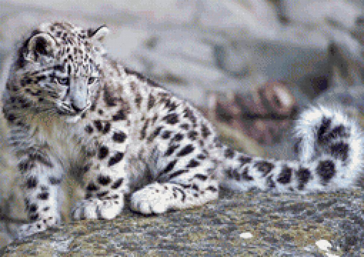 барс - предпросмотр