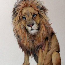 грустный лёва