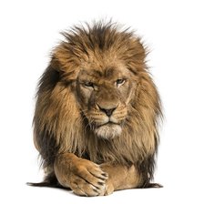 вот такие мы серьезные)