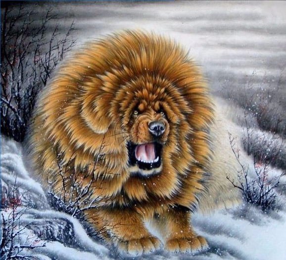 Тибетский мастиф. живопись Китай - оригинал