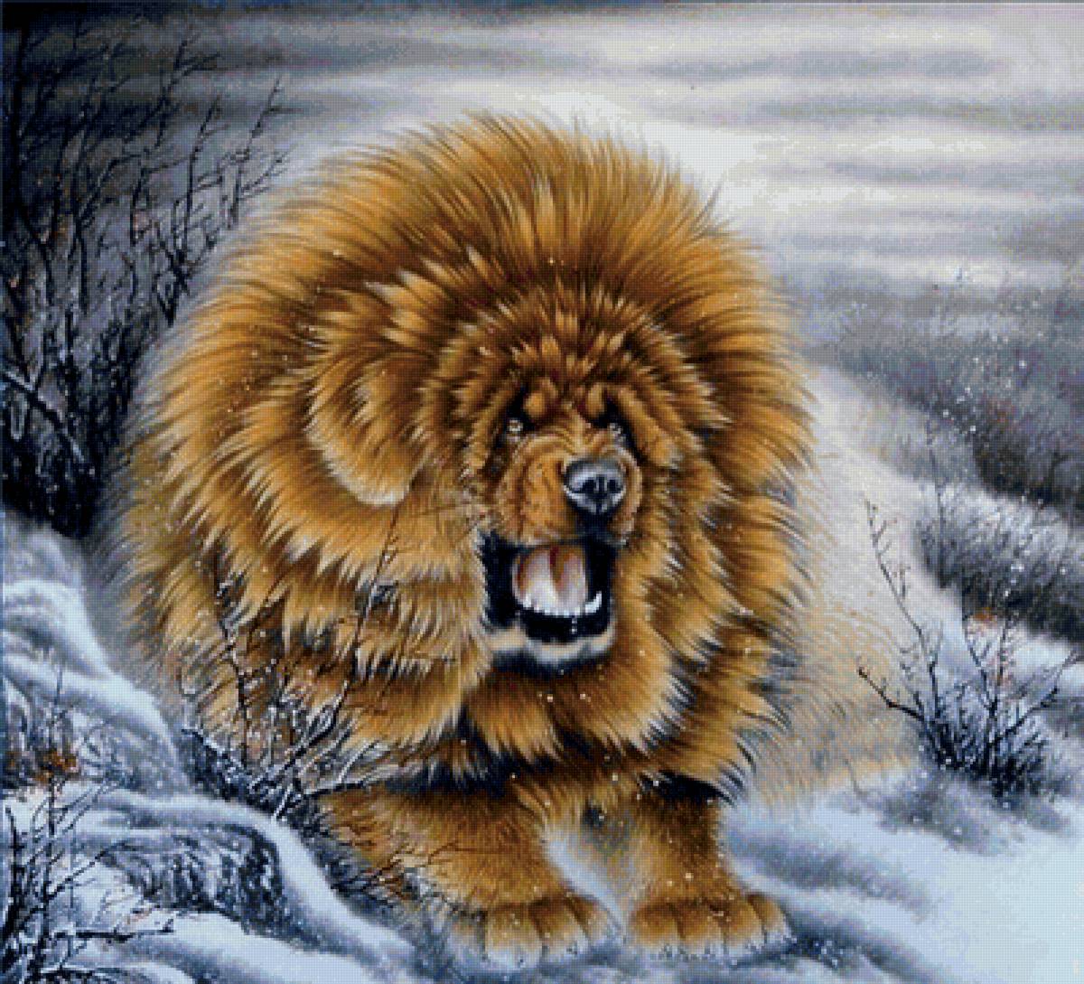 Тибетский мастиф. живопись Китай - предпросмотр