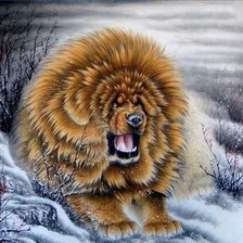 Тибетский мастиф. живопись Китай