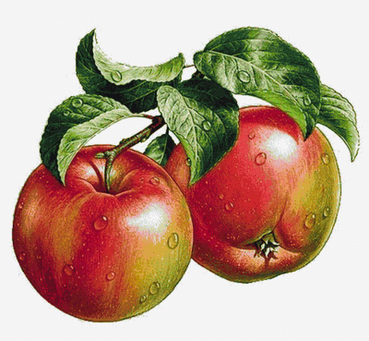 наливные яблочки - предпросмотр