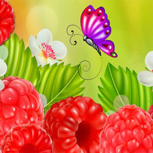 Схема вышивки «солнечная малинка»