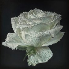 Схема вышивки «№1488527»