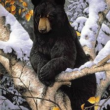 Схема вышивки «мишка косолапый»