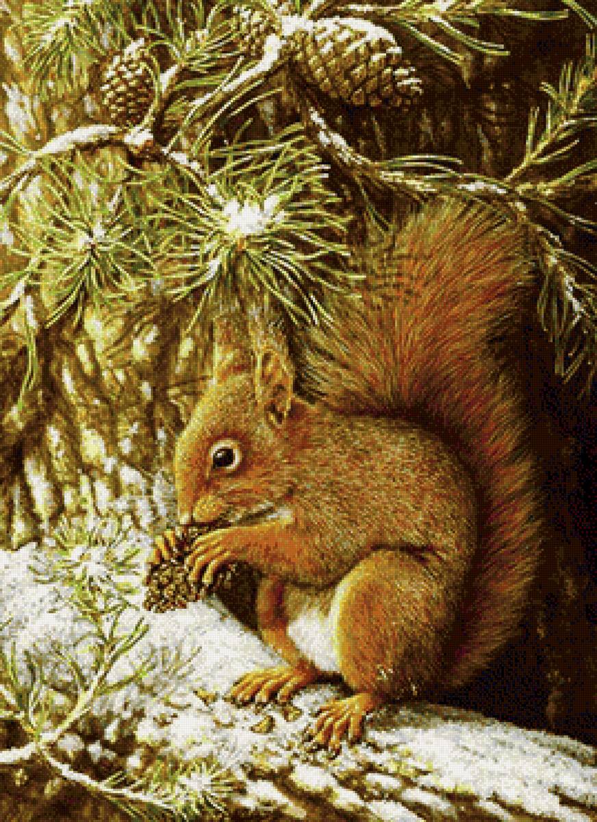 Белочка на дереве - белочка, зима, лес, шишки - предпросмотр