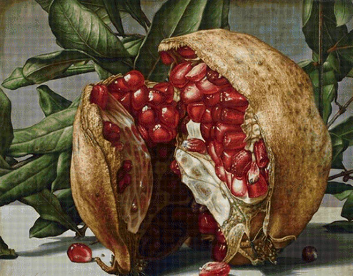 гранат - предпросмотр