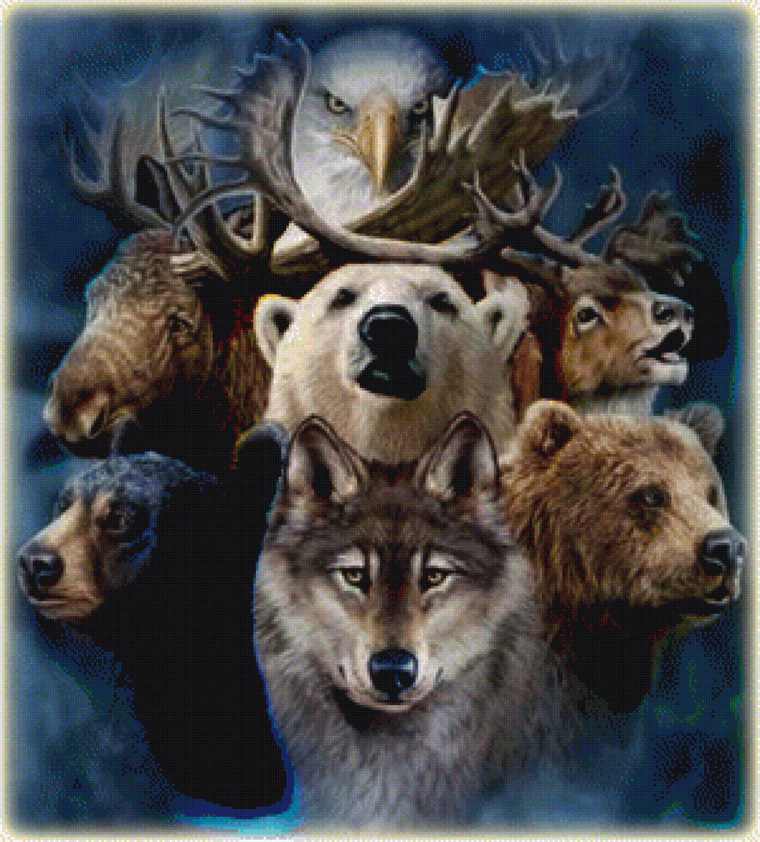 звери - звери - предпросмотр