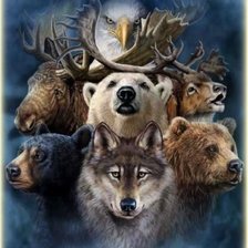 Схема вышивки «звери»