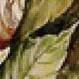 Предпросмотр схемы вышивки «каштаны» (№1489083)