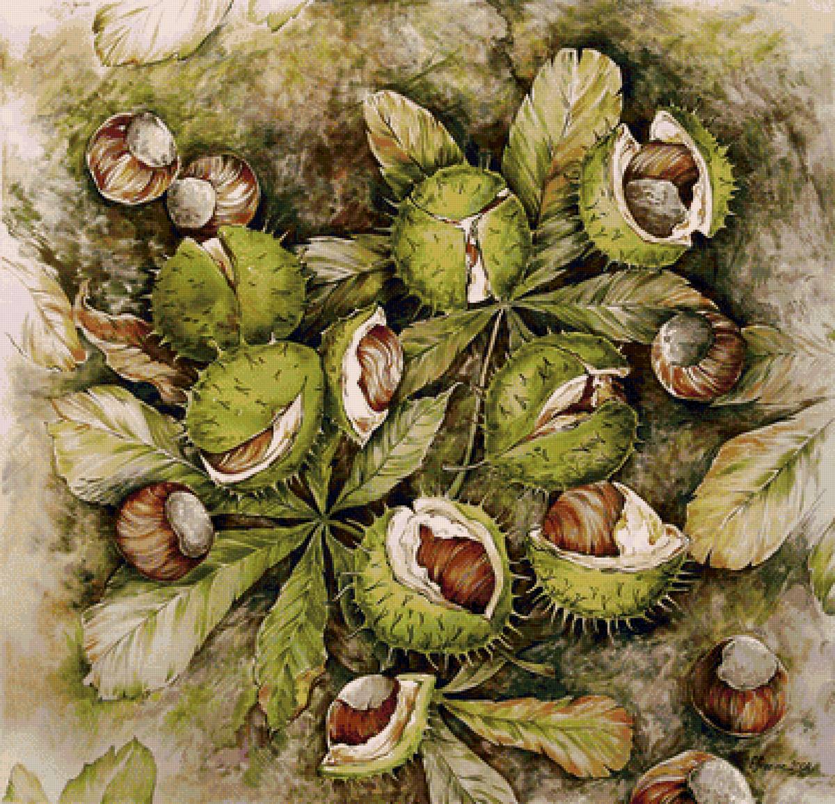 каштаны - предпросмотр