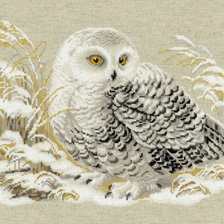 Схема вышивки «Сова белая»