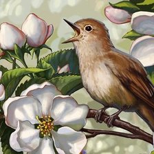 Схема вышивки «Соловей на цветущей ветке»
