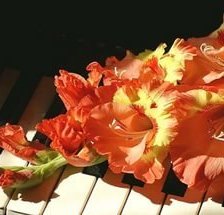 Схема вышивки «Гладиолус»