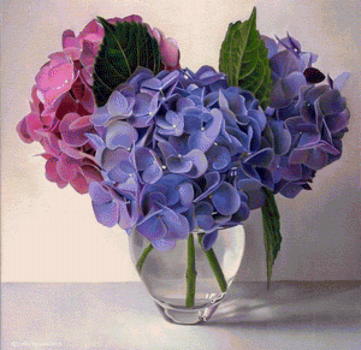 ГОРТЕНЗИЯ - гортензия - предпросмотр