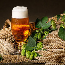 Схема вышивки «пиво и хмель»