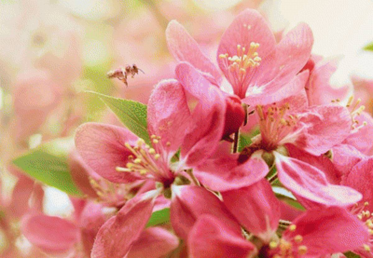 ВЕСНА - весна - предпросмотр