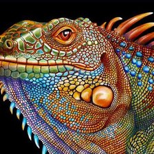 Схема вышивки «Мир животных»