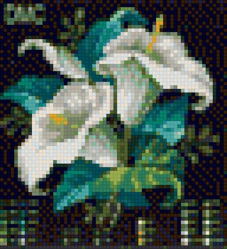 Каллы - предпросмотр