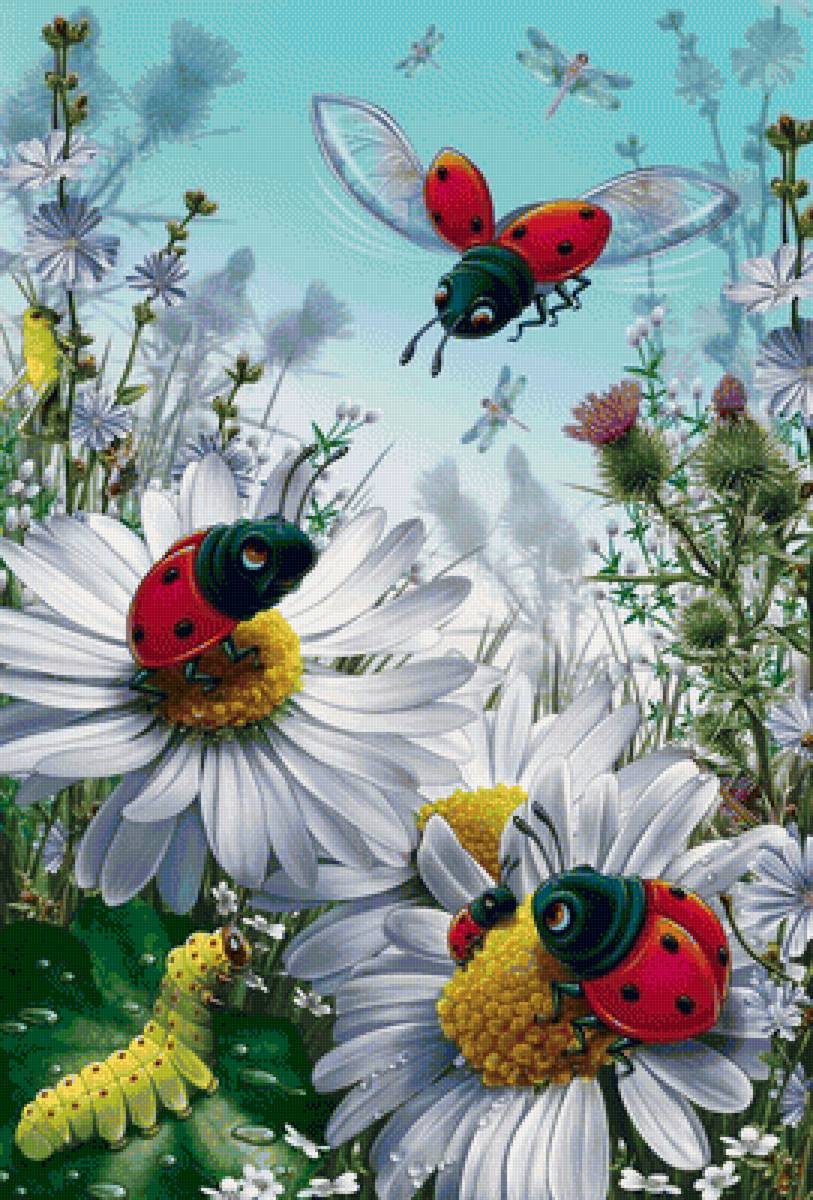 летний день - природа, цветы, небо, божьи коровки - предпросмотр