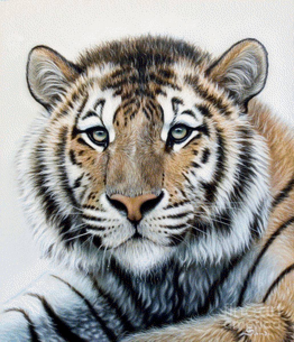 тигруля - киса, животные - предпросмотр