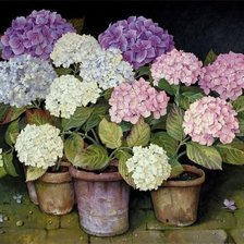 Схема вышивки «Гортензия»