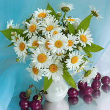 Схема вышивки «ромашки»