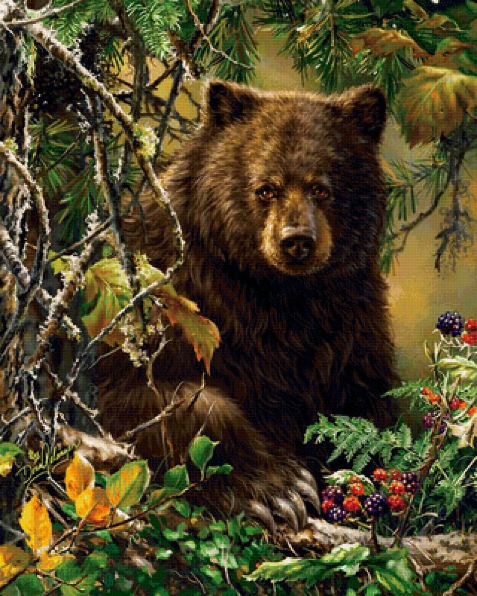 мишка косолапый - предпросмотр