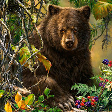 Схема вышивки «мишка косолапый»