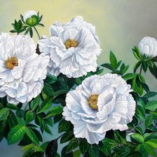 Схема вышивки «белые цветы»