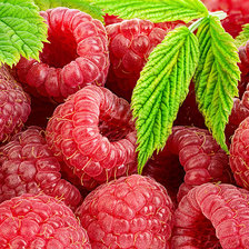 Схема вышивки «Малина»