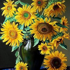 Схема вышивки «Солнышки»