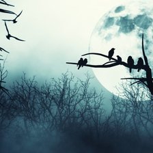 Схема вышивки «ночь»