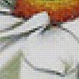 Предпросмотр схемы вышивки «Белые цветы» (№1492706)