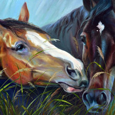 Схема вышивки «Дуэт»