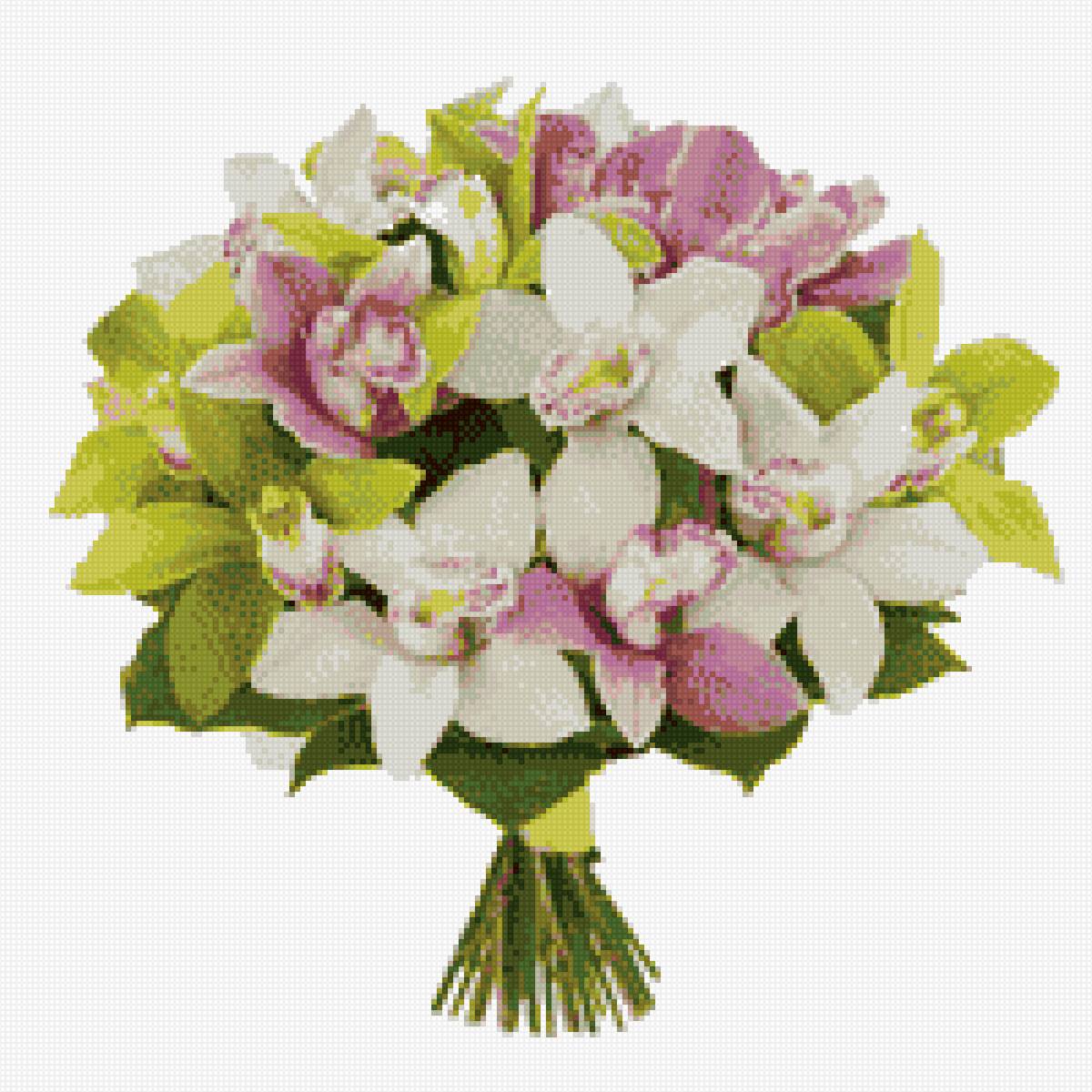 орхидея - предпросмотр