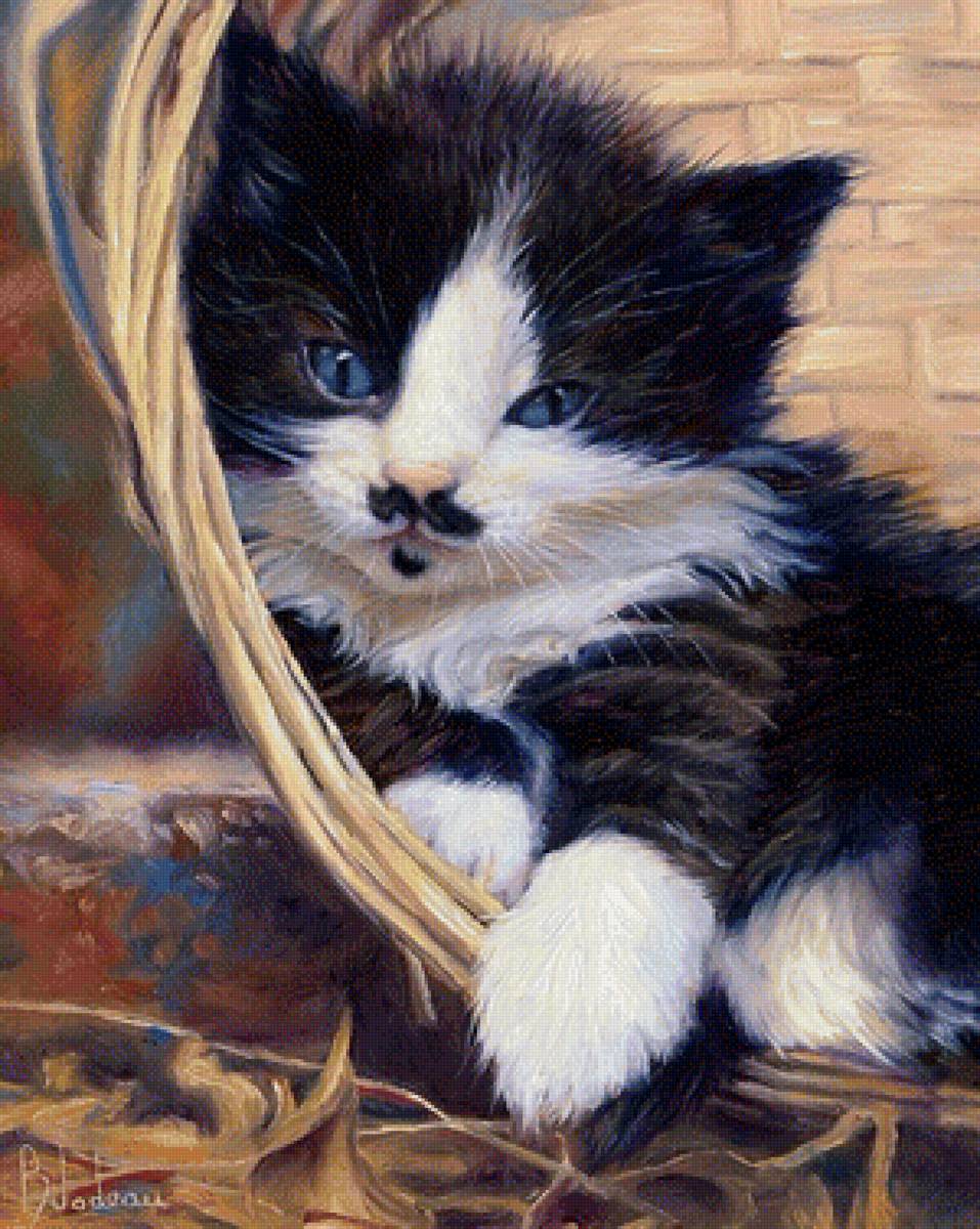 Кошка - кошка животные - предпросмотр