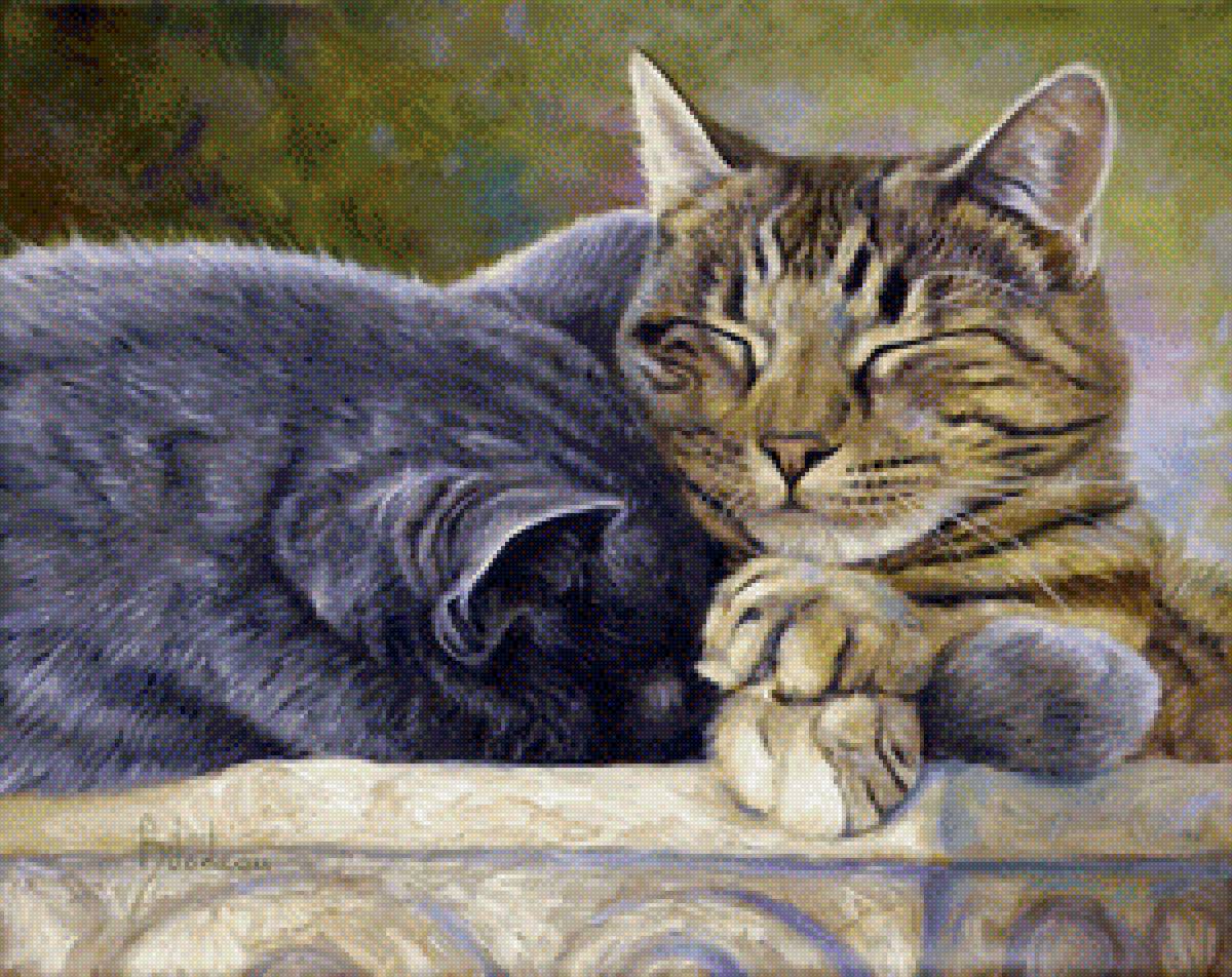 Кошка - кошка животные - предпросмотр