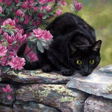 Схема вышивки «Кошка»