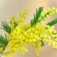 Схема вышивки «№1493455»