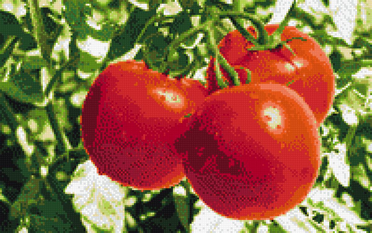 №1493482 - предпросмотр