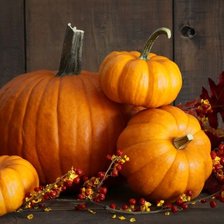 Схема вышивки «№1493517»